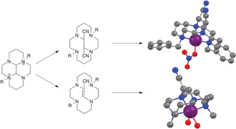 Graphical abstract: Reinforced cyclam derivatives functionalized on the bridging unit