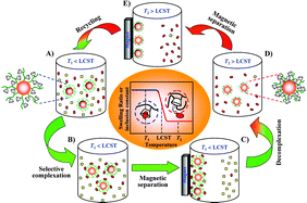 Graphical abstract: Thermo-responsive adsorption and separation of amino acid enantiomers using smart polymer-brush-modified magnetic nanoparticles