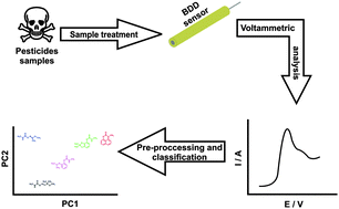 Graphical abstract: Boron-doped diamond as a sensor for the classification of carbamate pesticides using a chemometric approach