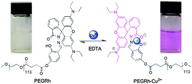 Graphical abstract: A highly selective and reversible water-soluble polymer based-colorimetric chemosensor for rapid detection of Cu2+ in pure aqueous solution