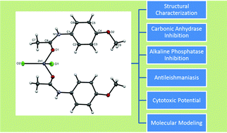 Graphical abstract: Exploiting the potential of aryl acetamide derived Zn(ii) complexes in medicinal chemistry: synthesis, structural analysis, assessment of biological profile and molecular docking studies