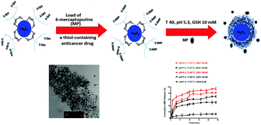 Graphical abstract: Ternary-responsive magnetic nanocarriers for targeted delivery of thiol-containing anticancer drugs