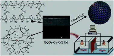 Graphical abstract: A photocatalytic graphene quantum dots–Cu2O/bipolar membrane as a separator for water splitting
