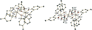 Graphical abstract: Dinuclear cobalt(iii) and mixed valence trinuclear MnIII–MnII–MnIII complexes with a tripodal bridging pyridylaminophenol ligand