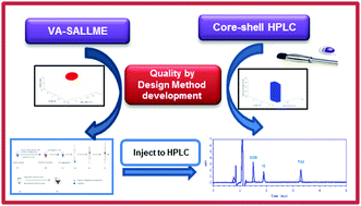 Graphical abstract: Dual design spaces for micro-extraction together with the core–shell chromatographic determination of dorzolamide and timolol in rabbit plasma: an example of quality by design method development