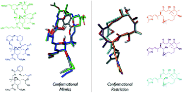 Graphical abstract: Conformation–activity relationships of polyketide natural products