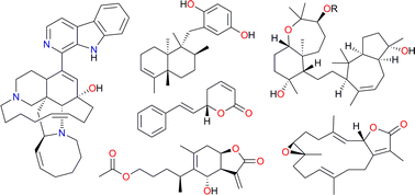 Graphical abstract: The use of isolated natural products as scaffolds for the generation of chemically diverse screening libraries for drug discovery