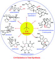 Graphical abstract: Trends in applying C–H oxidation to the total synthesis of natural products