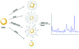 Graphical abstract: Functionalisation of hollow gold nanospheres for use as stable, red-shifted SERS nanotags