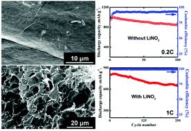Graphical abstract: Dual-protection of a graphene-sulfur composite by a compact graphene skin and an atomic layer deposited oxide coating for a lithium-sulfur battery