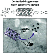 Graphical abstract: Diameter-dependent release of a cisplatin pro-drug from small and large functionalized carbon nanotubes