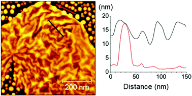 Graphical abstract: The structure and properties of graphene on gold nanoparticles