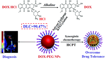 Graphical abstract: Smart doxorubicin nanoparticles with high drug payload for enhanced chemotherapy against drug resistance and cancer diagnosis
