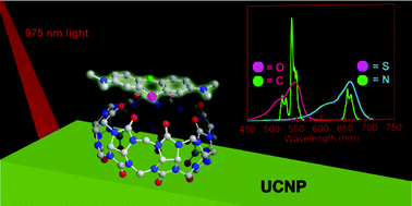 Graphical abstract: Cucurbit[n]uril-capped upconversion nanoparticles as highly emissive scaffolds for energy acceptors