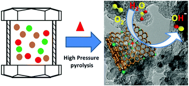 Graphical abstract: High pressure pyrolyzed non-precious metal oxygen reduction catalysts for alkaline polymer electrolyte membrane fuel cells