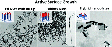 Graphical abstract: Substrate-bound growth of Au–Pd diblock nanowire and hybrid nanorod–plate