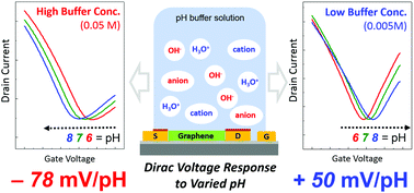 Graphical abstract: Apparent pH sensitivity of solution-gated graphene transistors