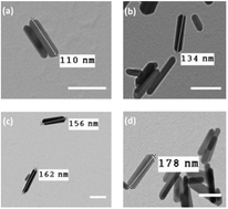 Graphical abstract: Reducing bacteria and macrophage density on nanophase hydroxyapatite coated onto titanium surfaces without releasing pharmaceutical agents