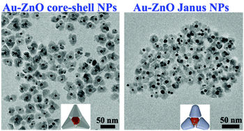Graphical abstract: Au–ZnO hybrid nanoparticles exhibiting strong charge-transfer-induced SERS for recyclable SERS-active substrates