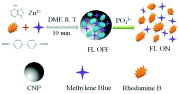 Graphical abstract: A turn-on coordination nanoparticle-based fluorescent probe for phosphate in human serum