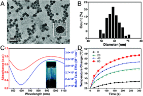 Graphical abstract: An effective approach to reduce inflammation and stenosis in carotid artery: polypyrrole nanoparticle-based photothermal therapy