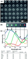 Graphical abstract: Color generation via subwavelength plasmonic nanostructures