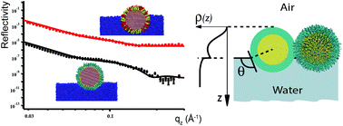 Graphical abstract: Contact angle and adsorption energies of nanoparticles at the air–liquid interface determined by neutron reflectivity and molecular dynamics