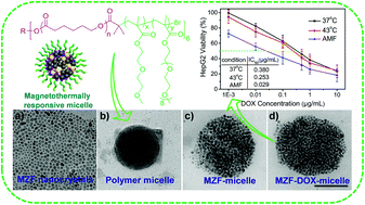 Graphical abstract: Magnetothermally responsive star-block copolymeric micelles for controlled drug delivery and enhanced thermo-chemotherapy