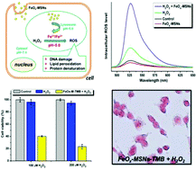 Graphical abstract: Lysosome-controlled efficient ROS overproduction against cancer cells with a high pH-responsive catalytic nanosystem