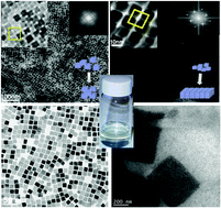 Graphical abstract: Solvothermal synthesis and controlled self-assembly of monodisperse titanium-based perovskite colloidal nanocrystals