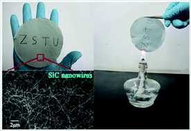 Graphical abstract: Highly flexible, nonflammable and free-standing SiC nanowire paper
