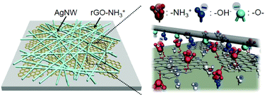 Graphical abstract: Positively-charged reduced graphene oxide as an adhesion promoter for preparing a highly-stable silver nanowire film