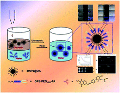 Graphical abstract: Fluorescent oligo(p-phenyleneethynylene) contained amphiphiles-encapsulated magnetic nanoparticles for targeted magnetic resonance and two-photon optical imaging in vitro and in vivo