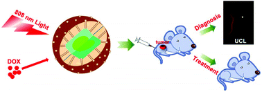 Graphical abstract: Multifunctional Nd3+-sensitized upconversion nanomaterials for synchronous tumor diagnosis and treatment