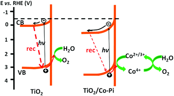 Graphical abstract: Cobalt phosphate modified TiO2 nanowire arrays as co-catalysts for solar water splitting