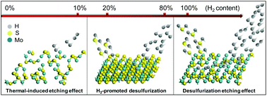 Graphical abstract: Role of hydrogen in the chemical vapor deposition growth of MoS2 atomic layers