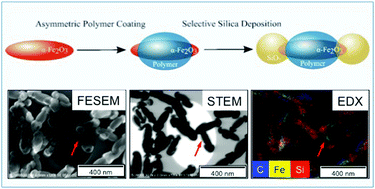 Graphical abstract: Facile synthesis of dumbbell-shaped multi-compartment nanoparticles