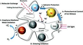 Graphical abstract: Crumpled graphene nanoreactors