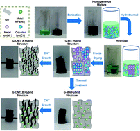 Graphical abstract: Carbon nanotube-bonded graphene hybrid aerogels and their application to water purification