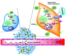Graphical abstract: Hyaluronic acid functional amphipathic and redox-responsive polymer particles for the co-delivery of doxorubicin and cyclopamine to eradicate breast cancer cells and cancer stem cells