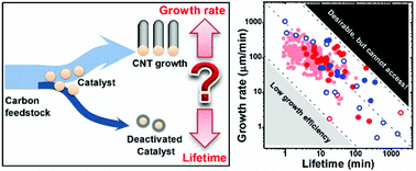 Graphical abstract: The relationship between the growth rate and the lifetime in carbon nanotube synthesis