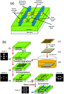 Graphical abstract: A monocrystal graphene domain biosensor array with differential output for real-time monitoring of glucose and normal saline