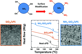 Graphical abstract: Manipulating the glass transition behavior of sulfonated polystyrene by functionalized nanoparticle inclusion