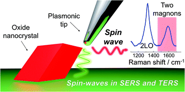 Graphical abstract: Surface- and tip-enhanced Raman spectroscopy reveals spin-waves in iron oxide nanoparticles