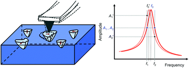 Graphical abstract: Visualization of polar nanoregions in lead-free relaxors via piezoresponse force microscopy in torsional dual AC resonance tracking mode