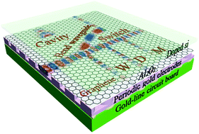 Graphical abstract: Reconfigurable and tunable flat graphene photonic crystal circuits