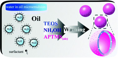 Graphical abstract: Formation of hollow silica nanospheres by reverse microemulsion