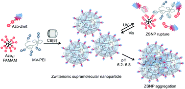 Graphical abstract: Zwitterionic supramolecular nanoparticles: self-assembly and responsive properties