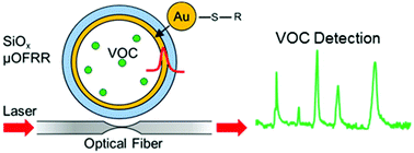 Graphical abstract: Nanoparticle-coated micro-optofluidic ring resonator as a detector for microscale gas chromatographic vapor analysis