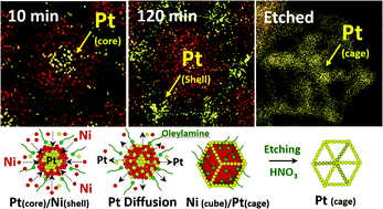 Graphical abstract: Formation of Pt decorated Ni–Pt nanocubes through low temperature atomic diffusion – time-resolved elemental analysis of nanoparticle formation